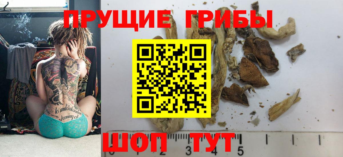 Псилоцибиновые грибы GOLDEN TEACHER  Вход с VPN  Галлюциногенные грибы Psilocybine cubensis  Хабаровск 